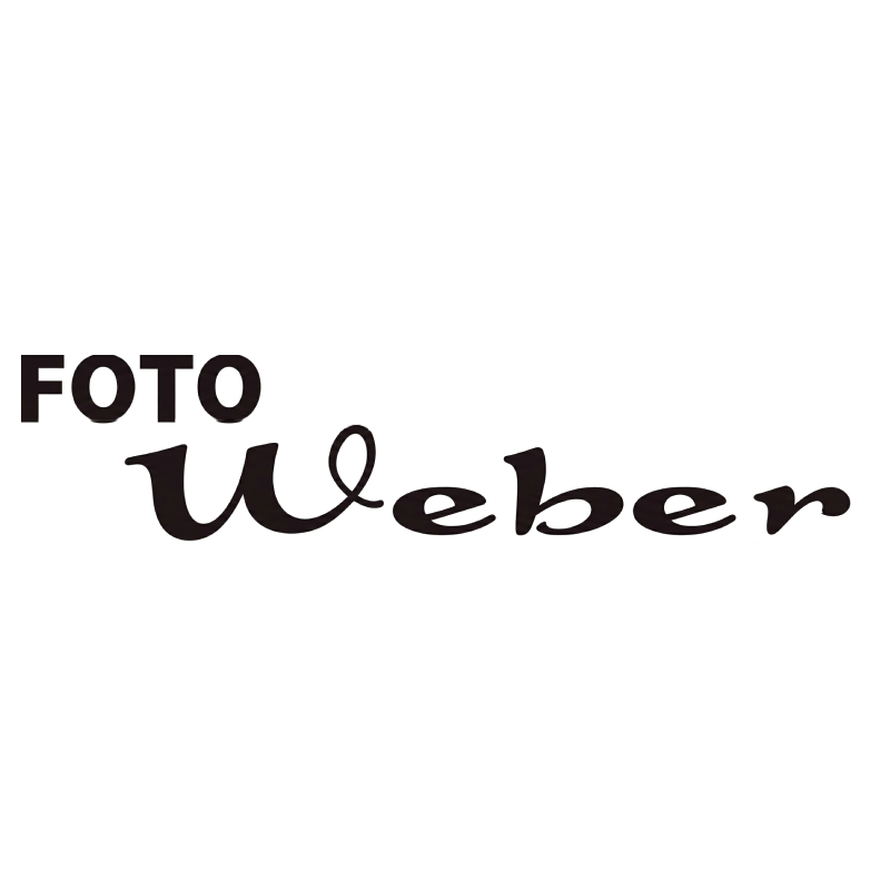 logo-favicon