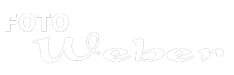 logo footer